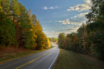 Natchez in the Fall