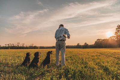 Man's Best Friend: Turning Hunting Dogs into Lifelong Companions
