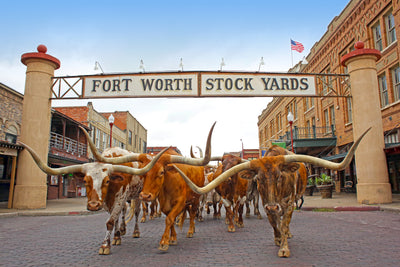 Add It To Your Bucket List: Cowtown, USA