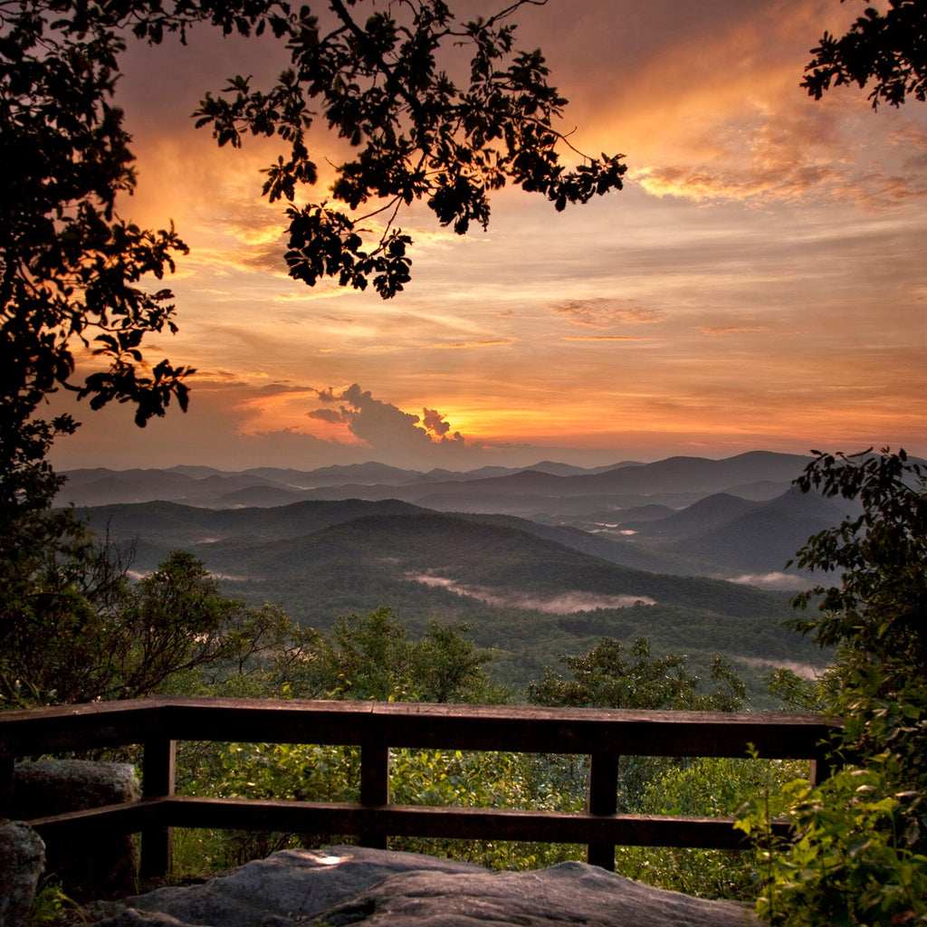 Trailblazing in Rabun County – Good Grit Magazine
